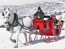 Go Karts Colorado Springs >> Colorado Snowmobiling | Snowmobile Tours and Rentals in CO Go Karts Colorado Springs >> Colorado Snowmobiling | Snowmobile Tours and Rentals in CO