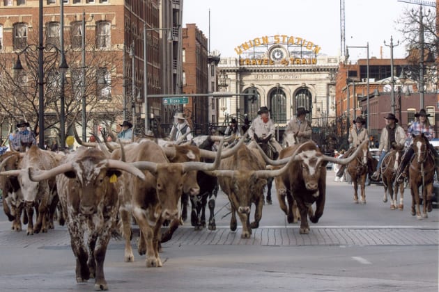 National Western Stock Show Parade