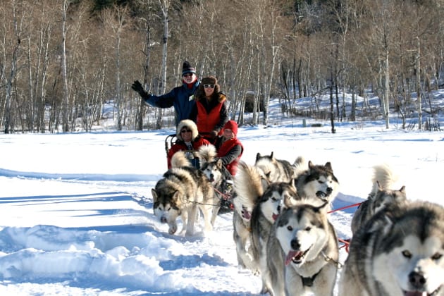 Pagosa Springs Dog Sledding