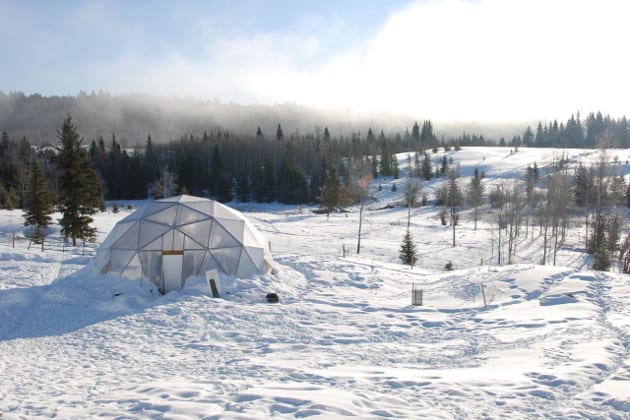 Growing Dome Greenhouse Colorado