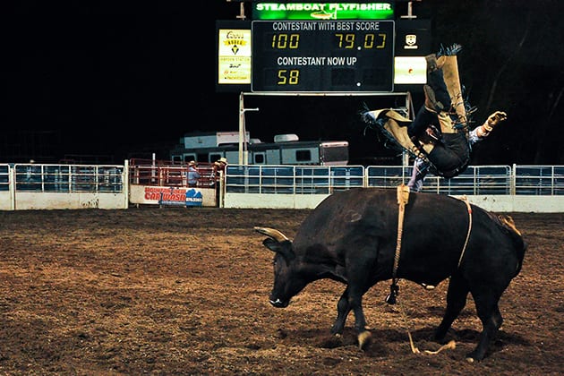 Steamboat Springs Pro Rodeo Bull