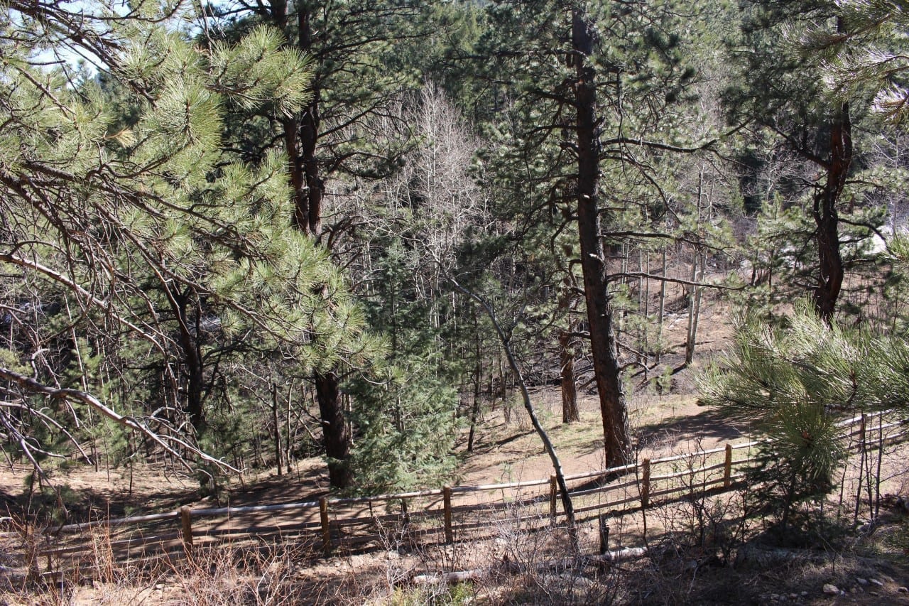 elk meadow park 4 legged at evergreen s park elk meadow leash area evergreen co elk meadow park 4 legged at evergreen s park elk meadow leash area evergreen co