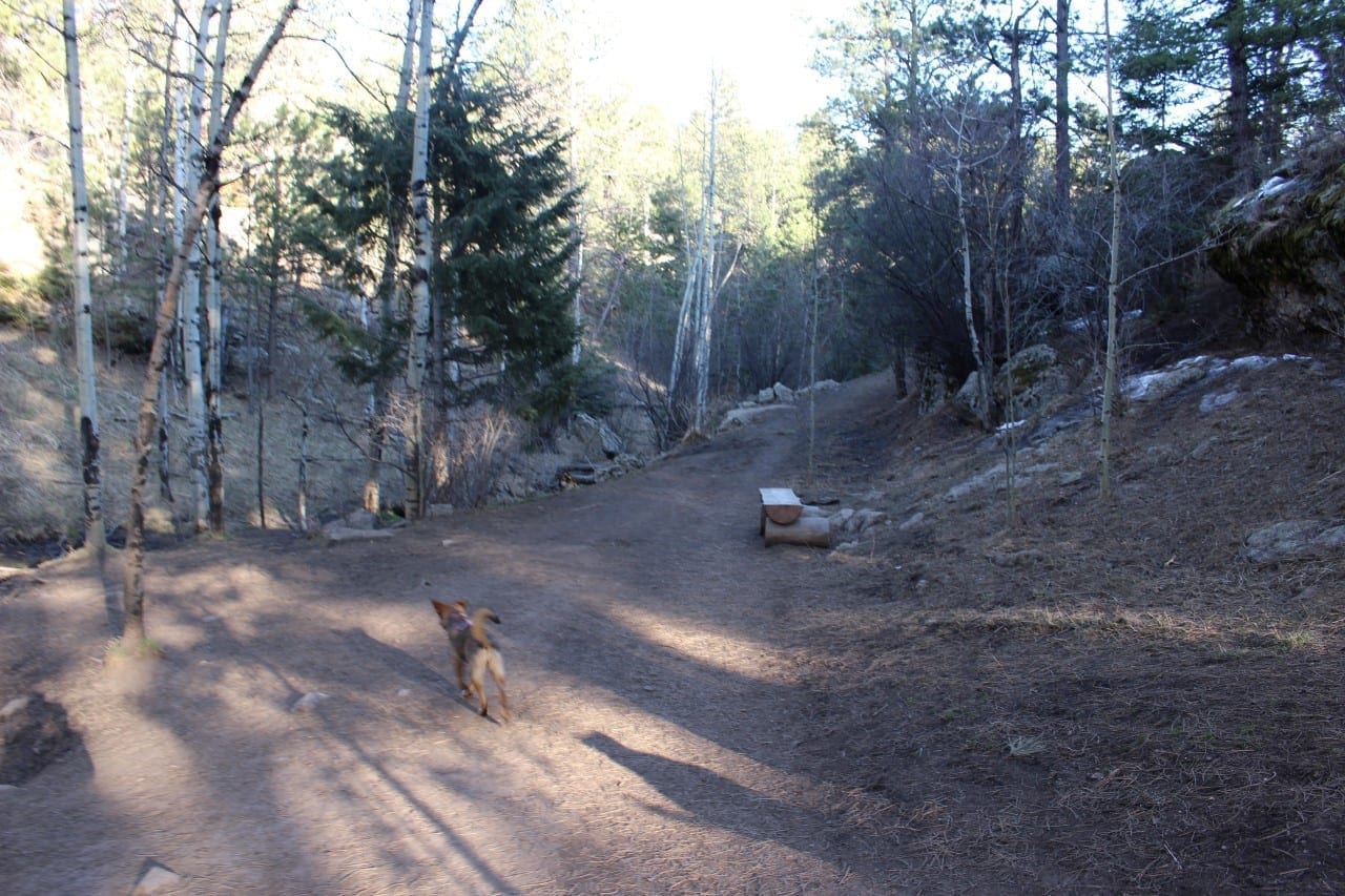 elk meadow park 4 legged at evergreen s park elk meadow leash area evergreen co elk meadow park 4 legged at evergreen s park elk meadow leash area evergreen co