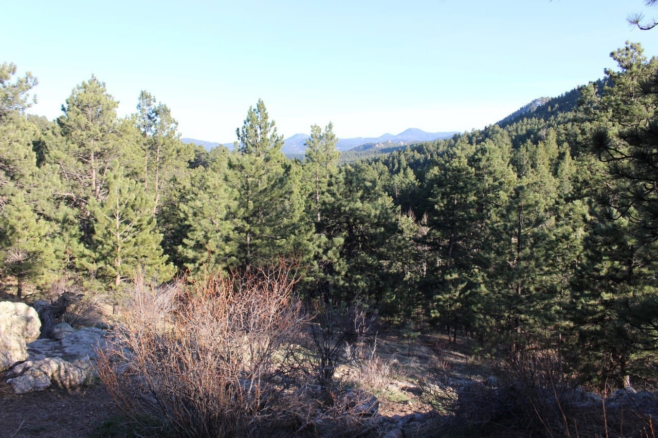 elk meadow park 4 legged at evergreen s park elk meadow leash area evergreen co elk meadow park 4 legged at evergreen s park elk meadow leash area evergreen co