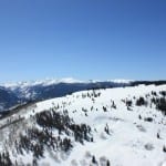 Vail Ski Resort Back Bowl Trees