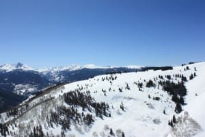 Vail Ski Resort Back Bowl Trees