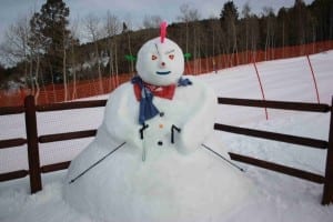 Beaver Creek Snow Hawk Man