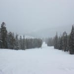 Ski Cooper Black Diamond