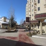 Steamboat Springs Torian Plum