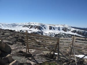 Mary Jane Vasquez Cirque