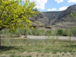 Colorado River Island Acres