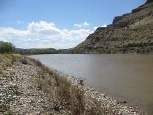 Colorado River Island Acres