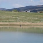 Harvey Gap SFishing
