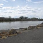 Colorado River State Park