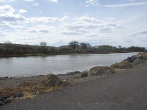 Colorado River State Park