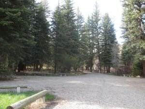 Paonia State Park Camping