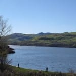 Vega State Park Fishing