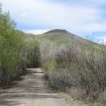 Vega State Park