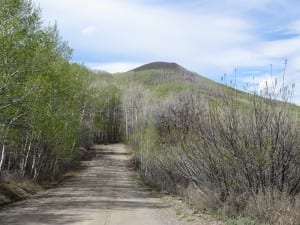 Vega State Park