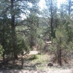 Ridgway State Park
