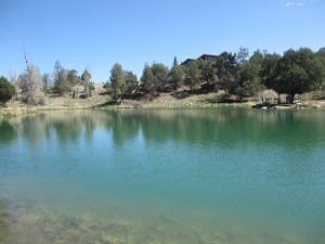 Ridgway State Park