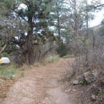 Ridgway State Park