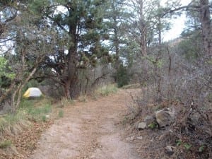 Ridgway State Park