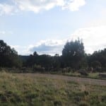 Ridgway State Park