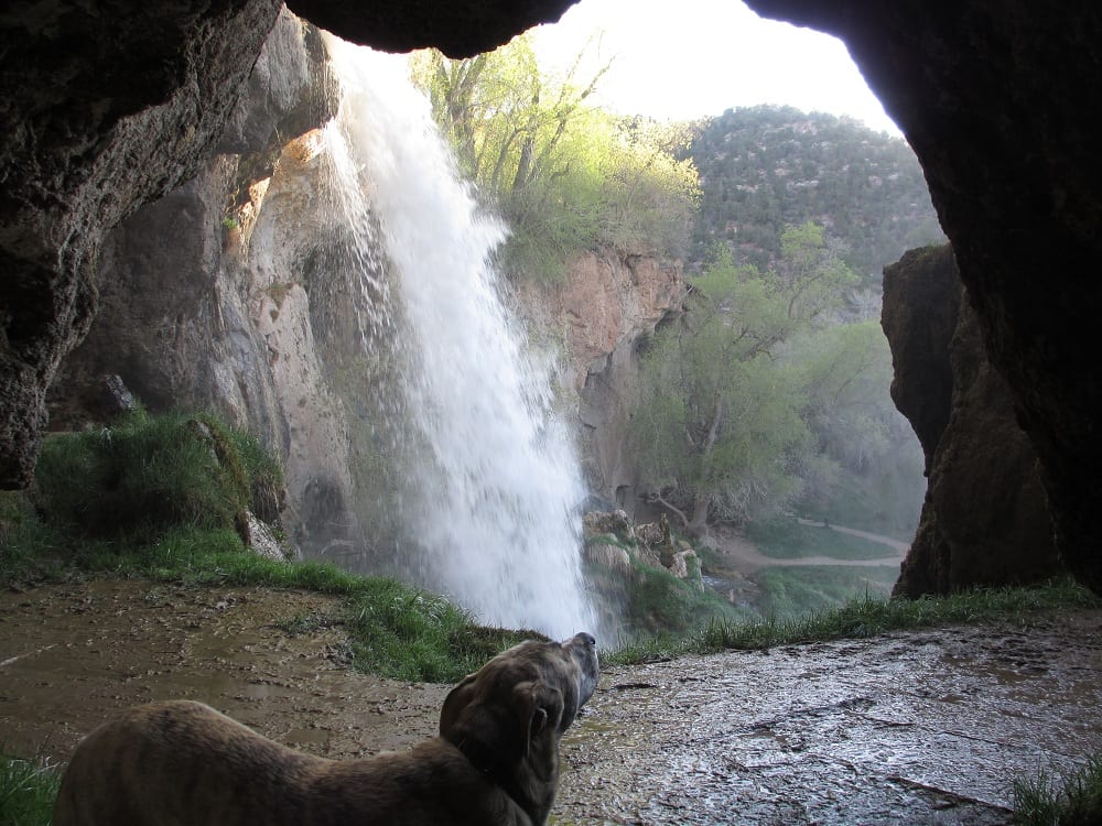 Rifle Falls State Park  Garfield County Colorado Waterfall