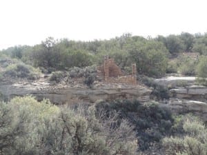 Hovenweep National Monument Hackberry