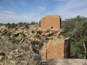 Hovenweep National Monument Holly