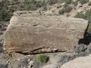 Hovenweep National Monument Petroglymph