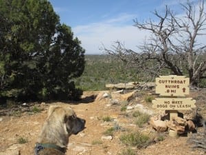 Hovenweep National Monument Cutthroat Castle