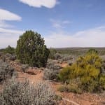 Hovenweep National Monument Hiking