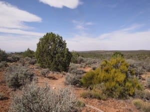 Hovenweep National Monument Hiking