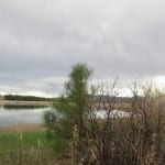 Mancos State Park