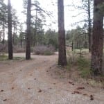 Mancos State Park