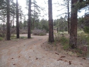 Mancos State Park