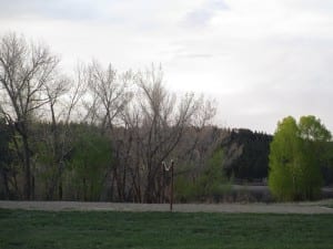 Mancos State Park