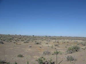 San Luis State Park Camping