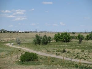 Chatfield Dog Park CO