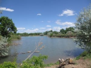 Chatfield State Park Off Leash