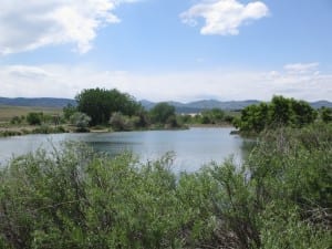 Chatfield Dog Park