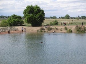 Chatfield Dog Park