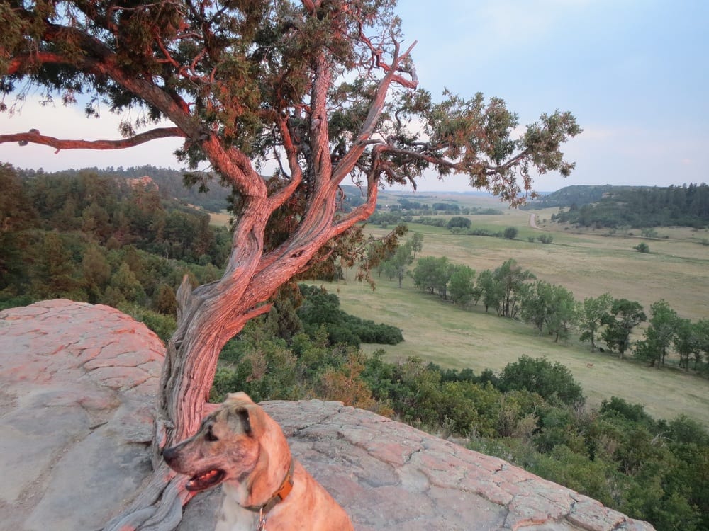 Castlewood Canyon State Park