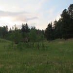 Golden Gate Canyon State Park