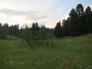 Golden Gate Canyon State Park