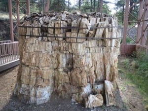 Florissant Fossil Beds