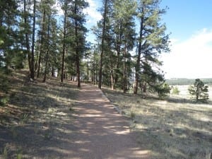 Florissant Fossil Beds