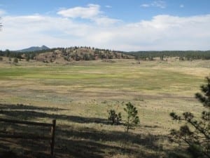 Florissant Fossil Beds